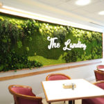 The Landing