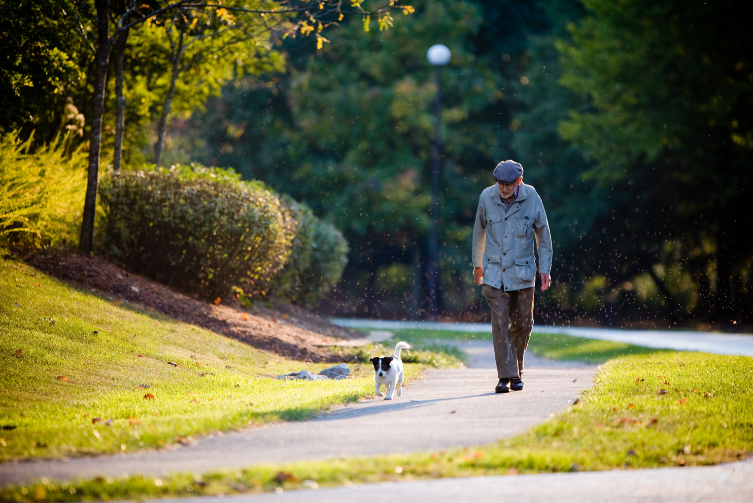 walking trails