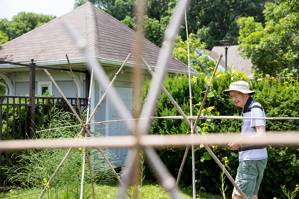 collington-activities-gardener