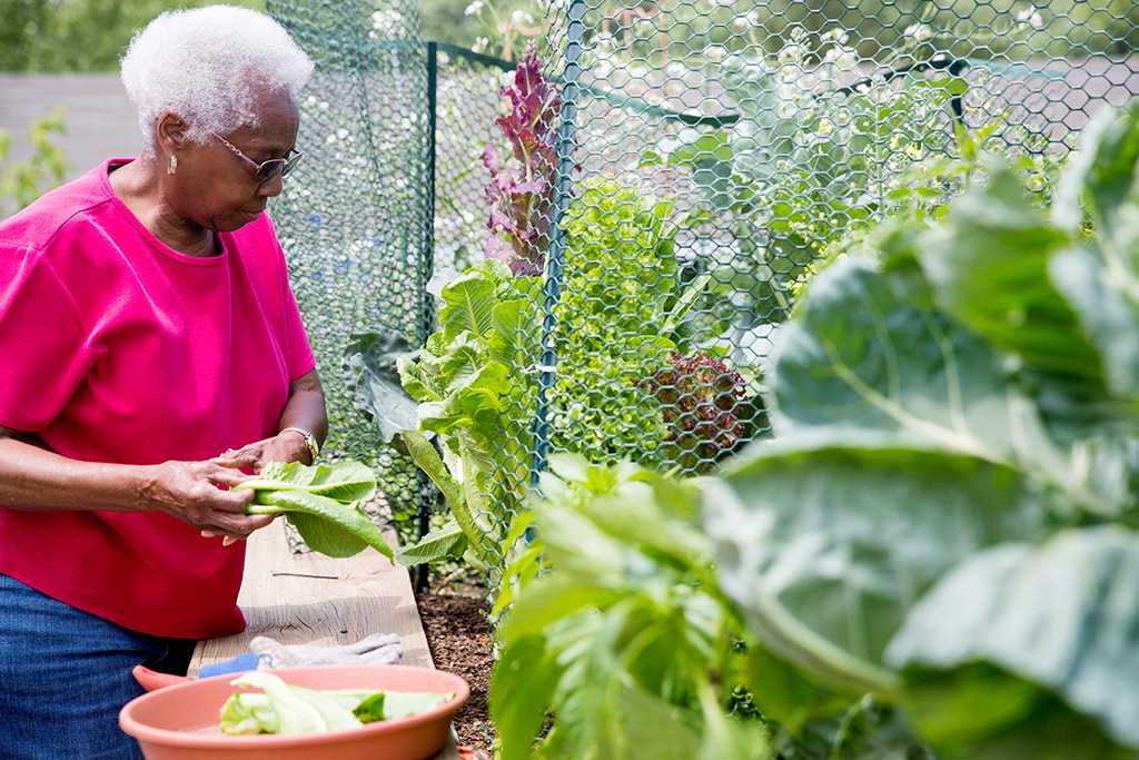 collington-activities-gardening