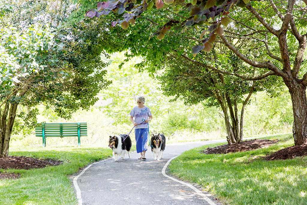 collington-activities-walking-trails