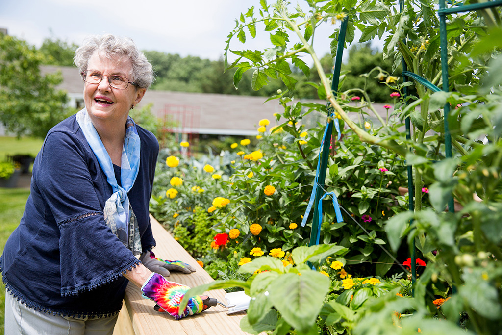 collington-community-garden