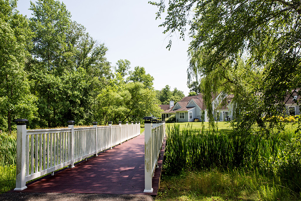 collington-foot-bridge