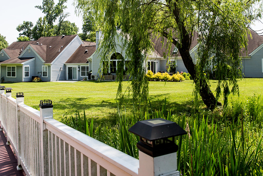 collington-villa-landscape