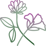 purple flower