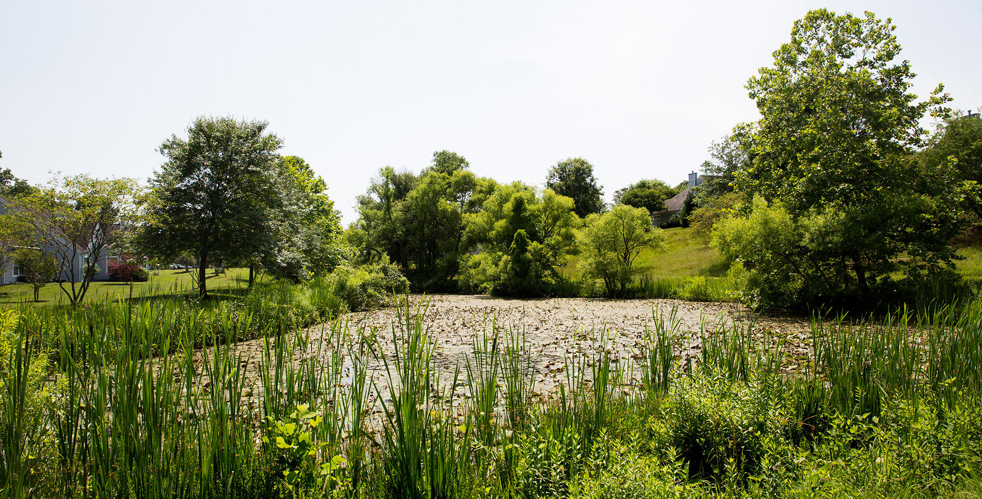 Lake on Collington Campus in Washington DC area